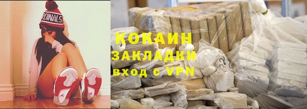 стаф Богданович