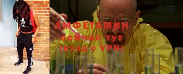 стаф Богданович