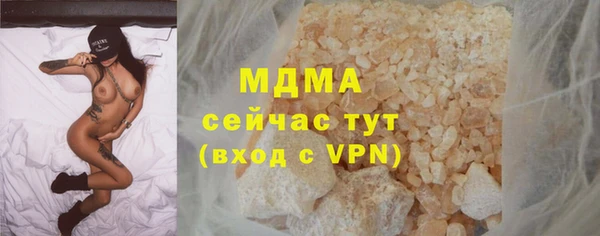 стаф Богданович