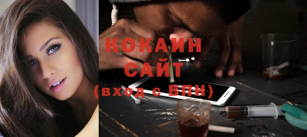 стаф Богданович