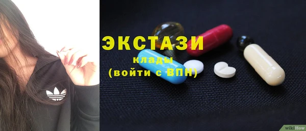стаф Богданович
