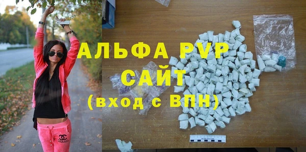 стаф Богданович