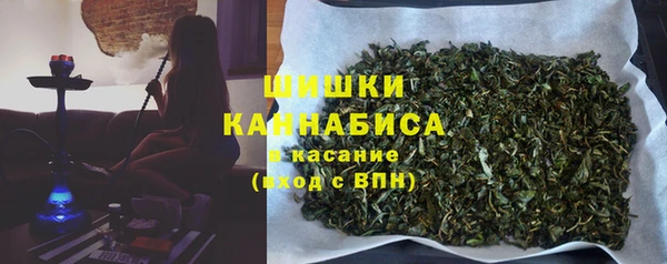 стаф Богданович